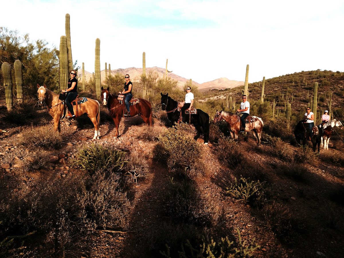 Riders among saguaros at MTM Ranch
